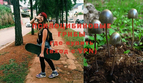 таблы Белокуриха