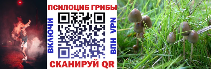 гидра зеркало  Кущёвская  Галлюциногенные грибы ЛСД 